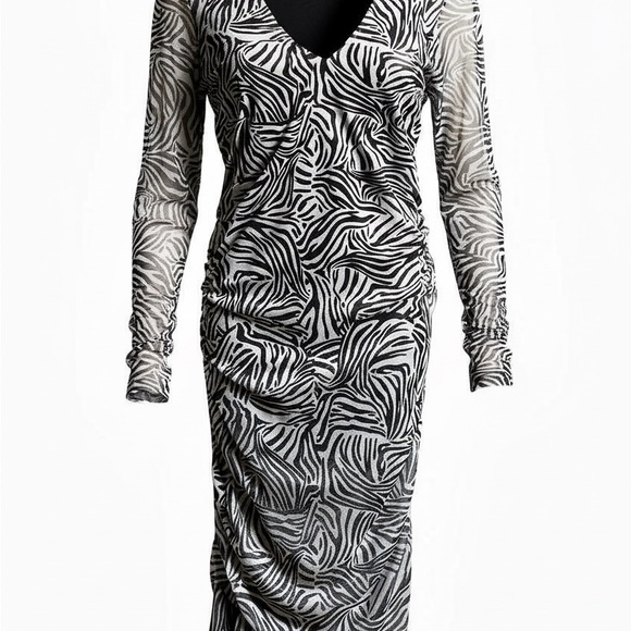 Sanctuary Dresses & Skirts - Sanctuary Black and White Zebra Long Sleeve Dress